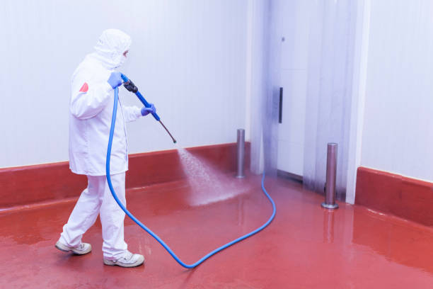 Best Boat and Dock Cleaning  in Hernando, FL